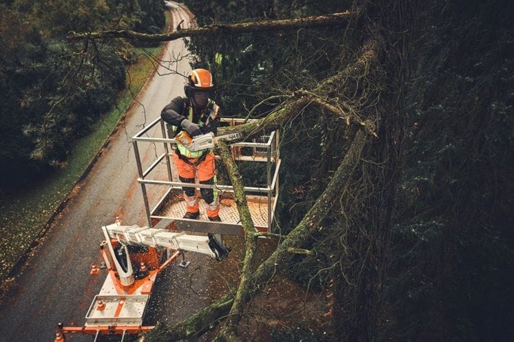 STIHL MSA 190T Cordless Tree Surgeon’s One Handed Climbing Chainsaw (Unit Only) – AP System