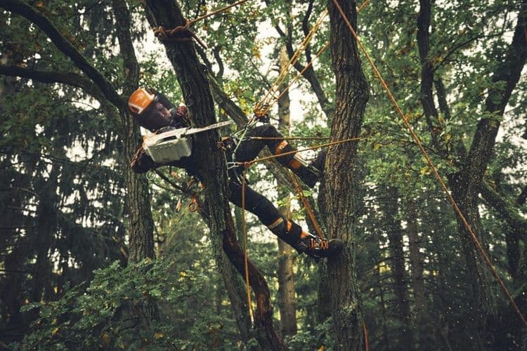 STIHL MSA 190T Cordless Tree Surgeon’s One Handed Climbing Chainsaw (Unit Only) – AP System