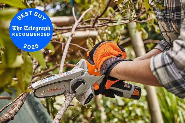 STIHL GTA 26 Chainsaw Garden Pruner  (UNIT ONLY) – AS System