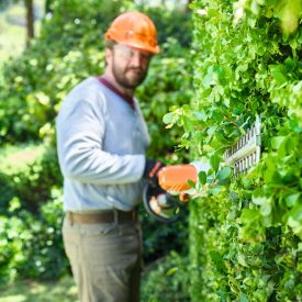Stihl Hedge Trimmers 1x1 - 2